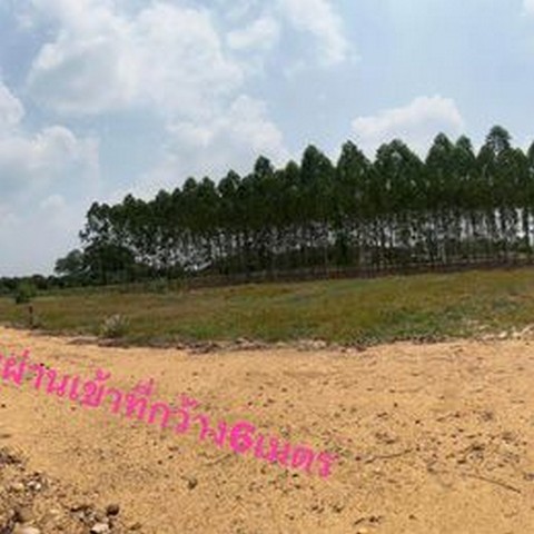 ที่ดินแบ่งขาย จัดสรรเรียบร้อยค่ะ รีบจับจองกันไว้ได้เลยนะคะ ราคาถูก