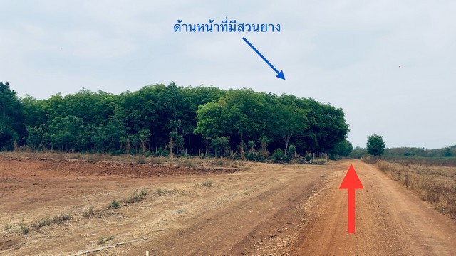 ขายด่วน ที่ดินโฉนด ตำบลช้างตะลูด อำเภอหล่มสัก จังหวัดเพชรบูรณ์