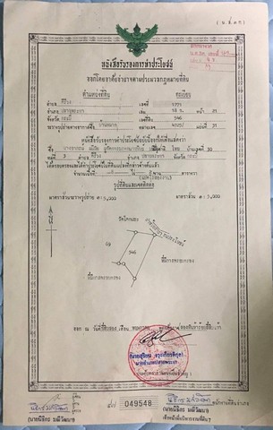 ขายที่ดินพร้อมส่วนปาล์ม อำเภอปลายพระยา จังหวัดกระบี่ เนื้อที่ 8 ไร่ 2 งาน