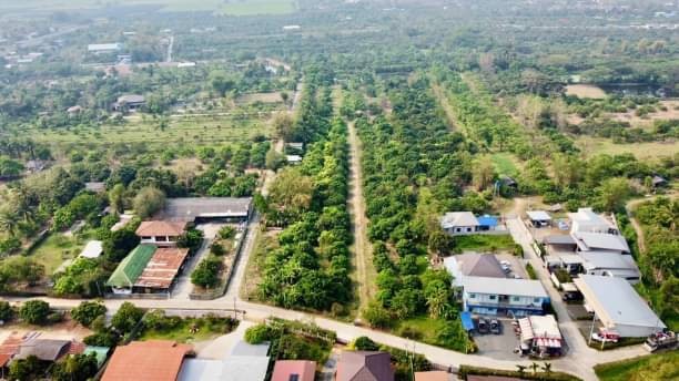 ขายยกแปลง 23.5 ล้าน 11-1-92.7 ไร่ ยางเนิ้ง สารภี ผังสีเหลือง สามารถทำโครงการบ้านจัดสรรได้ สาธารณูปโภคครบครัน