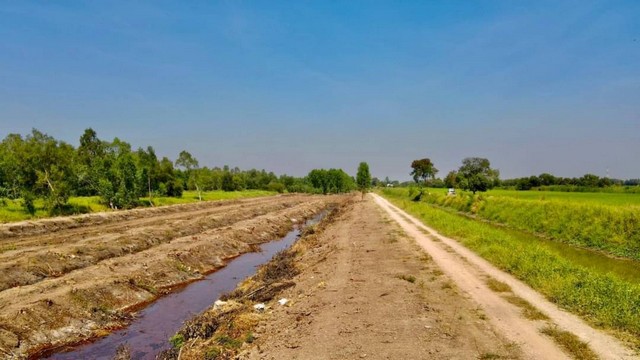 ขายที่ดินราคาถูก แปลงคลอง9 หนองเสือ ปทุมธานี (รพีพัฒน์) ที่ดินแบ่งขายทำเลดี