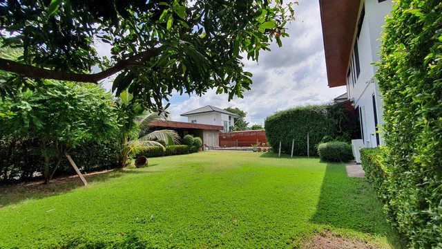 ขายที่ดิน 100 ตรว.  แปลงสวย ถมสูงกว่าถนนประมาณ 1.50 เมตร สรณคมณ์ 17 ดอนเมือง สรงประภา  ทำเลสวย แวดล้อมด้วยบ้านหรู