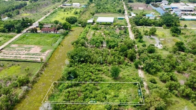 ที่ดินคลอง2 ที่ดินเนื้อที่ 2-0-0 ไร่ ติดถนนคอนกรีตกว้าง 8 เมตร 