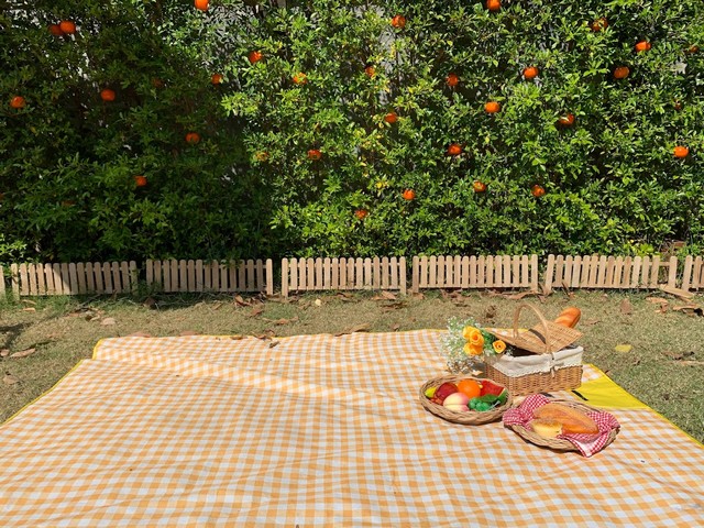 ขายบ้านพร้อมที่ดิน 173 ตารางวา พหลโยธิน32 (เสนานิคม1) ห่างจาก BTS เสนานิคม 2 กม. เดินทางสะดวก