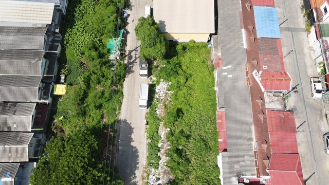 ที่ดินคลอง7 จัดสรรทำเลทอง เนื้อที่ 60 ตารางวา จ.ปทุมธานี 