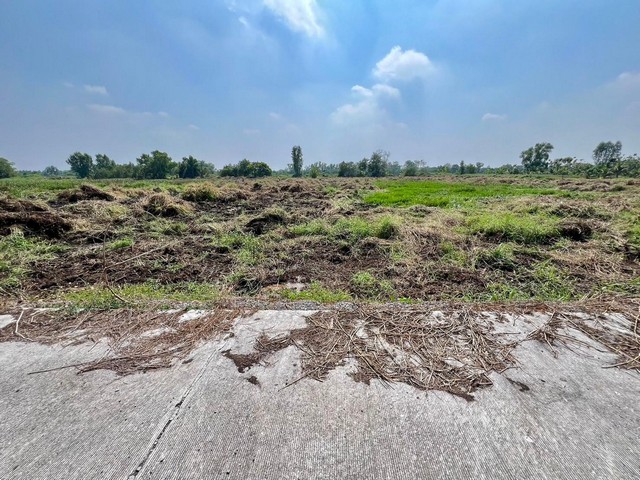 ที่ดินแบ่งขายคลองสิบ ไร่ละ 920,000 บาท แบ่งขาย 2 ไร่ขึ้นไป อ.หนองเสือ ปทุมธานี