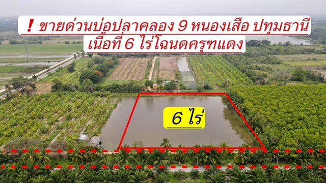 ขายบ่อปลาคลองเก้า เนื้อที่ 6 ไร่ อ.หนองเสือ จ.ปทุมธานี