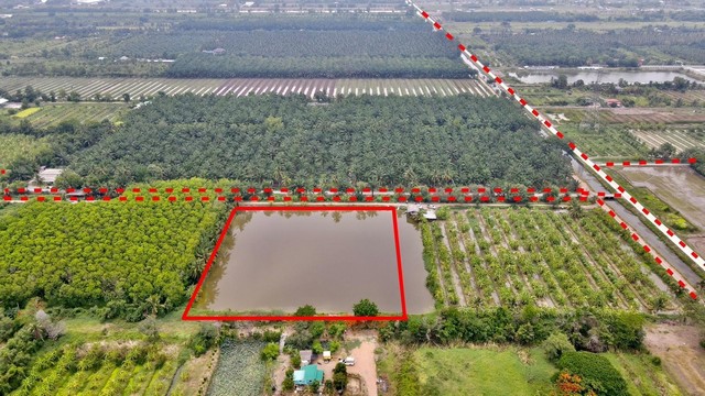 ขายบ่อปลาคลองเก้า เนื้อที่ 6 ไร่ อ.หนองเสือ จ.ปทุมธานี