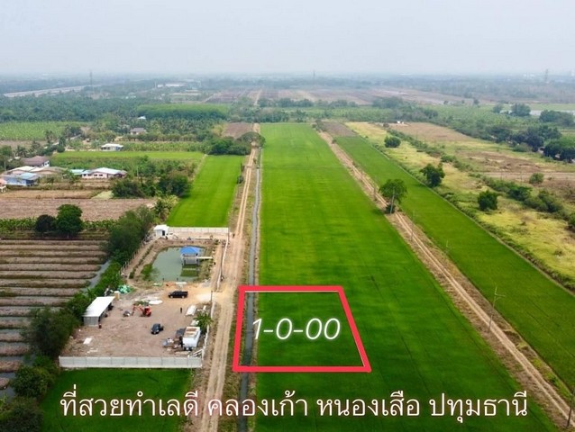 ที่ดินคลอง9 หนองเสือ หน้ากว้าง x ยาว 50 × 32 ม. ถนนสาธารณะประโยชน์กว้าง 7 ม.