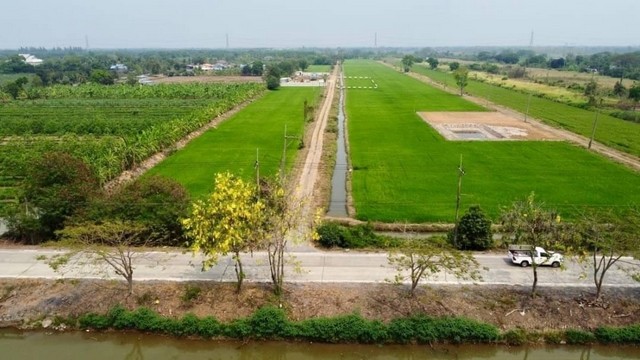 ที่ดินคลอง9 หนองเสือ หน้ากว้าง x ยาว 50 × 32 ม. ถนนสาธารณะประโยชน์กว้าง 7 ม.