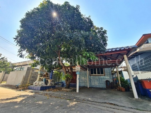 รหัสทรัพย์  4958บ้านเดี่ยว คลองหนึ่ง สะพานฟ้า พร้อมอยู่ ใกล้ฟิวเจอร์ พาร์ค รังสิตที่ตั้ง  ตำบลประชาธิปัตย์ อำเภอธัญบุรี ปทุมธานี 12130รายละเอียดทรัพย์- บ้านเดี่ยว 1 ชั้น, ขนาดพื้นที่ 67 ตารางวา, ขนาดพื้นที่ใช้สอย 130 ตารางเมตร- 4 ห้องนอน, 2 ห้องน้ำ, 1 ห้องนั่งเล่น, 2 ห้องครัว, 2 ที่จอดรถสถานที่และทำเลใกล้เคียง- ม.ธรรมศาสตร์ ศูนย์รังสิต- รพ.ภัทร-ธนบุรี - รพ.ธรรมศาสตร์เฉลิมพระเกีย