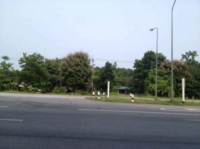 ขายที่ดินเหมาะสำหรับทำ ทำการเกษตร บ้านพักอาศํย  รีสอร์ท  ตำบลหนองธง  อำเภอป่าบอน  จังหวัดพัทลุง