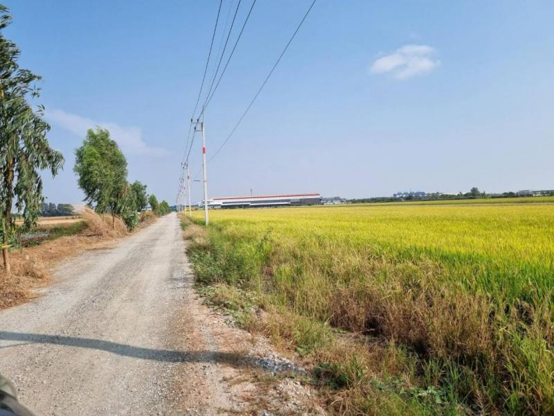 ขายที่ดิน27-2-26ไร่ ผังสีม่วงลายจุด ต.คลองอุดมชลจร อ.เมืองฉะเชิงเทราออกถนนสุวินทวงศ์ ลาดกระบัง บางนาใกล้ตลาดปองพลราคาขาย 2,400,000 บาท ( 2.4ล้านบาท)ที่ตั้ง ตําบลคลองอุดมชลจร อ.เมืองฉะเชิงเทรา จ.ฉะเชิงเทราติดต่อ : คุณภัสพงณ์ 0634098164 ,0813987741Line : deedaa23เนื้อที่ 27-2-26 ไร่ ที่ดินหน้ากว้าง ผังสีม่วงลายจุดเหมาะสร้างสำนักงาน โรงงานใกล้ตลาดปองพล สุวินทวงศ์ ลาดกระบัง บางนาราคาขาย 2,400,000 บาท ( 2.4ล�