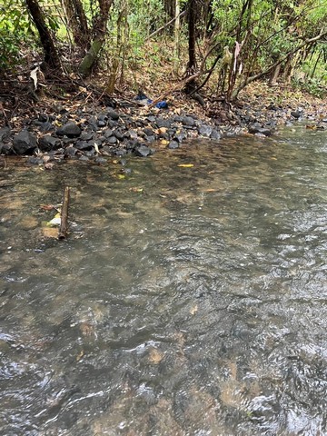ที่สวนติดลำธารสาริกา นครนายกเดินทางสะดวก มีผลไม้และต้นไม้ใหญ่ให้ความร่มเงา