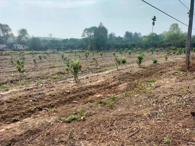 ขายที่ดินติดถนนเชียงราย-เทิง-บ้านร่องเบอร์ อำเภอเมือง  จังหวัดเชียงราย เนื้อที่ 2 ไร่ 2 งาน