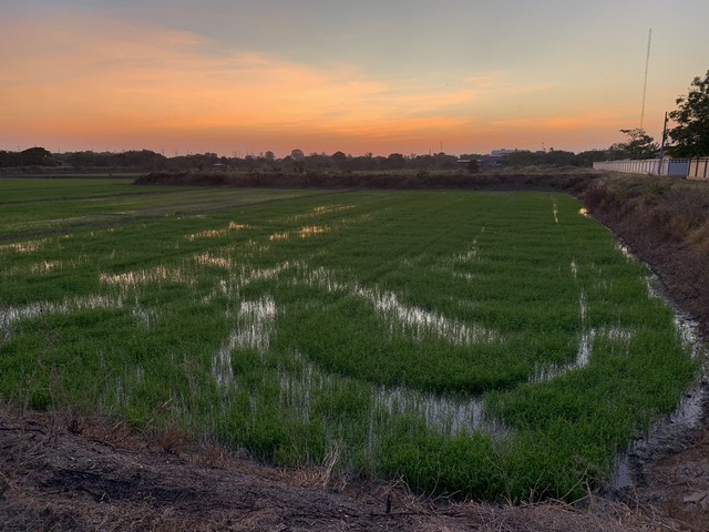 ขายที่ดิน  1 ไร่ 2งาน  เจ้าของขายเอง ตำบลท่าระหัด อำเภอเมืองสุพรรณบุรี จังหวัดสุพรรณบุรี