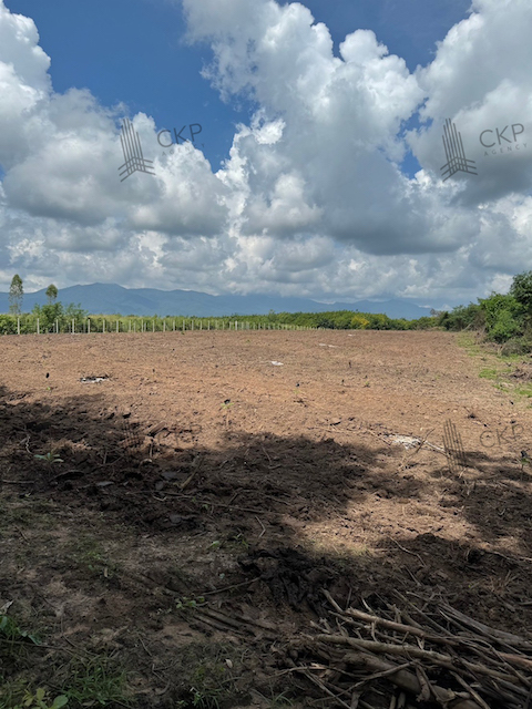 ขาย ที่ดินเปล่ารวมแปลง 168 ไร่ มีรั้วรอบที่ดิน ต.วอแก้ว อ.ห้างฉัตร จ.ลำปาง