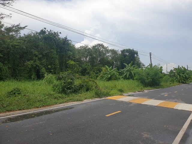 ที่ดิน - 10000 THAI BAHT  พื้นที่ =  200 ตร.ว. ไม่ไกลจาก – บิ๊กซี  – โลตัส  – ดูโฮม  – วัดอัยยิการาม  – ตลาดต้นไม้ คลอง 9  – โรงเรียนสารสาสน์วิเทศรังสิต คลอง 7  – โรงเรียนจุฑารัตน์วิทยา  – โรงเรียนวัดอัยยิการาม  – โรงพยาบาลธัญบุรี  – โรงพยาบาลคลองหลวง  – โรงพยาบาลมหาวชิราลงกรณธัญบุรี  – ใกล้ทางด่วนวงแหวนกาญจนาภ ราคางาม ใกล้แหล่งชุมชน