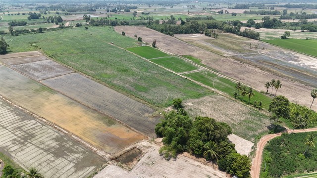 ขายที่ไร่อ้อย 15 ไร่ 2 งาน 50 ตร.วา ต.ปลักแsด อ.บางระกำ จ.พิษณุโลก 