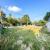 Land For Rent Good Location 94 Sq.waSoi Bon-Kai  Bophut Koh Samui Suratthani 