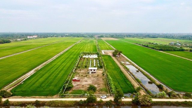 คลอง 9 บ้านพร้อมที่ดิน 5 ไร่  ถมแล้วบรรยากาศธรรมชาติมีสวนและบ่อเลี้ยงปลาเงียบสงบธรรมชาติดี