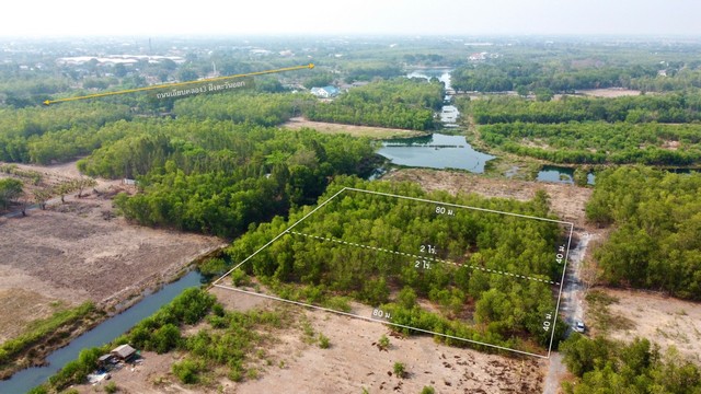 ที่ดินคลอง3 อ.คลองหลวง ด่วน ที่ดินถมแล้ว แปลงละ 2 ไร่ มี 2 แปลงเท่านั้น