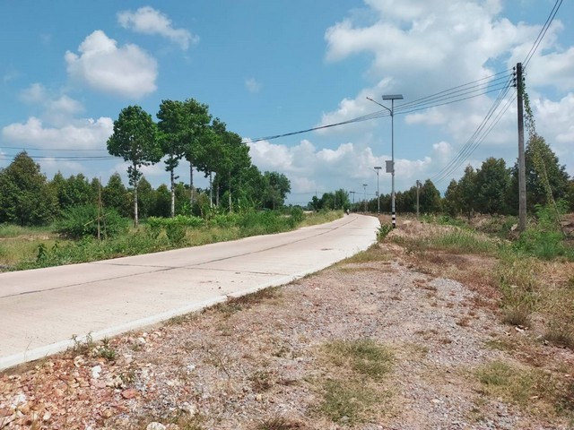 CK133ด่วนๆที่ดินไร่ละ 590,000 ติดถนนคอนกรีตยาว 300 เมตร- เนื้อที่ 20-2-40.4 ไร่-พิกัด คลองปูน อ.แกลง จ.ระยอง-ติดถนนเลียบคลอง (คลองหนองเต่า)-มีไฟฟ้า มีโซล่าเซล (เขตชุมชน)-ติดถนนคอนกรีตยาว 300 เมตร -พื้นที่ปลูกต้นทุเรียนเกือบ 100 ต้น และสวนยางพารา-ทุเรียนให้ผลผลิตแล้ว ประมาณ 25 ต้น-มีบ่อน้ำขนาดเล็ก -ใกล้ อบต. และ วัดคลองปูน เพียง 2.5 กม.-ห่างจากแยกประแสร์ (ถนนหมายเลข3) เพียง 4.9 กม.+++++++++++++++++++++++++++++++++ ส