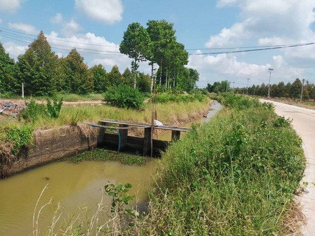 ขายที่ดินติดคอนกรีตไร่ละ 5แสน9 เขตคลองปูน อ.แกลง จ.ระยอง