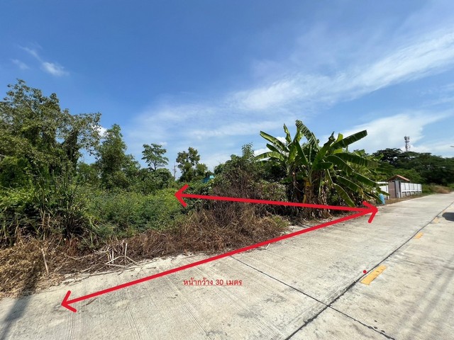 ขายที่ดิน คลอง 12 จ.ปทุมธานี  คลอง12 ต.ศาลาครุ อ.หนองเสือ จ.ปทุมธานี 