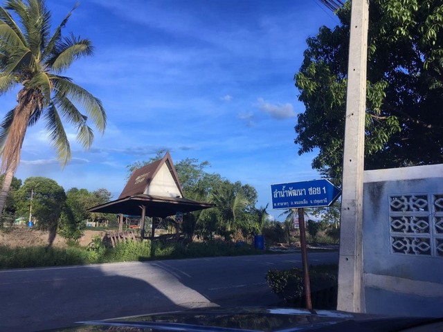 ขายที่ดิน คลอง 12 จ.ปทุมธานี  คลอง12 ต.ศาลาครุ อ.หนองเสือ จ.ปทุมธานี