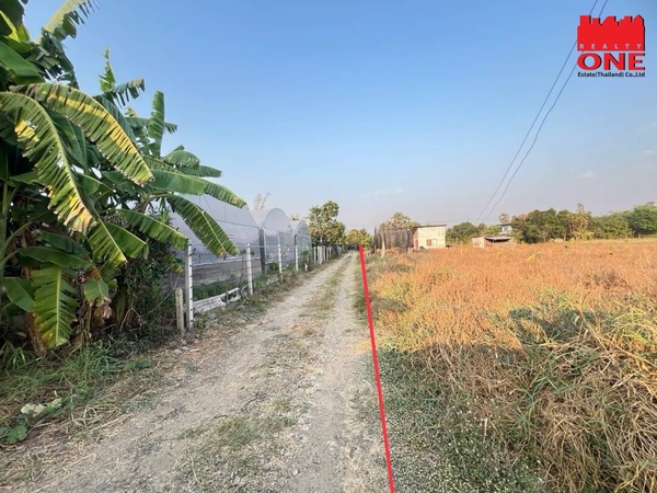 ที่ดิน 1 ไร่ 47 ตารางวา หนองจอก ซอยสุวินทรศ์ 47 ลำต้อยติ่ง หนองจอก