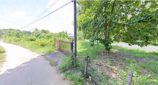 ขายที่ดินเปล่า 1-1-32.9 ไร่ ใกล้ตลาดวังทอง1 กม. อ.วังทอง จ.เมืองพิษณุโลก