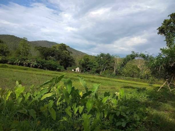 ขายที่สวยไร่ละ 900,000 บาท (ตรว.ละ 2,500 บ.) เนื้อที่ 9-3-82 ตรว.(รวมกัน 3 แปลง)​ ลวงเหนือ ดอยสะเก็ด ใกล้เขื่อนแม่กวง