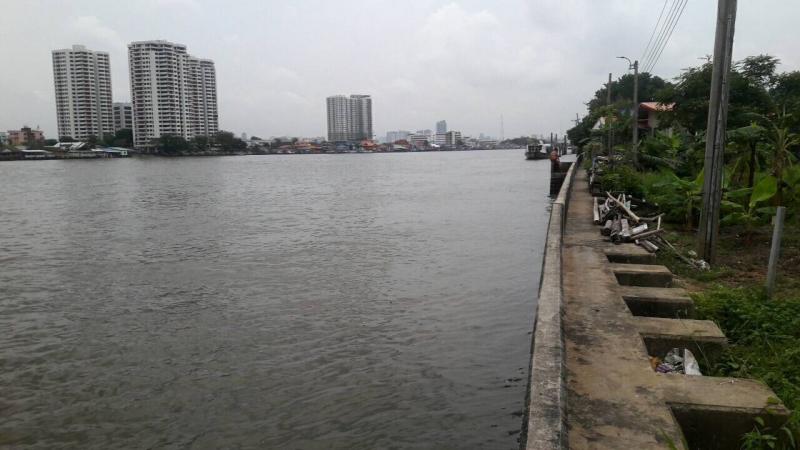 TM650181 ขายที่ดินริมน้ำเจ้าพระยาบางไผ่ จังหวัดนนทบุรี ขนาด 2 ไร่ 3 งาน 36 ตารางวา