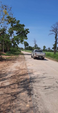 ขายที่ดิน ขอนแก่น สวย 100 ตรว อ.กระนวน อำเภอกระนวน จังหวัดขอนแก่น