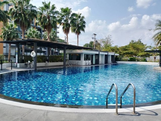 ขายต่ำกว่าราคา ปันนาโอเอซีส วิวดอยสุเทพ เฟอร์ครบ   