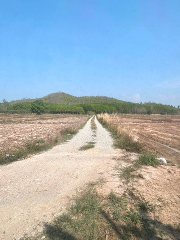 ขายที่ดิน 23 ไร่ อ.เทิง จ.เชียงราย มีสัญญาและโฉนดถูกต้องตามกฏหมาย เจ้าของขายเอง นัดดูสถานที่จริงได้ เมื่อปี 2022 ได้ปลูกสวนทุเรียนจำนวนสามไร่กำลังเจริญเติบโต สามารถปลูกผลไม้อื่นหรือทำแปลงเกษตรหรืออื่นได้ ประกาศหาเจ้าของใหม่มาลงทุนเพื่อดำเนินการต่อ ที่ดินสวย สะอาด บรรยากาศดี ติดภูเขา ช่วงฤดูหนาวหมอกลงบริเวณรอบๆ**จำนวน ที่ดิน 23 ไร่ 70 ตารางวา (น.ส. ๔)**ราคา 6.9 ล้า