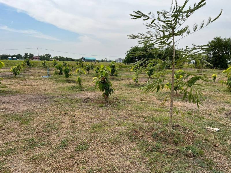 TM650196 ขายที่ดิน​  คลองหลวง​ คลองสี่​  ถมดินแล้ว 16 ไร่