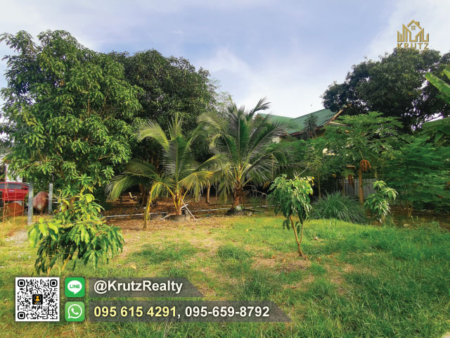 ให้เช่าที่ดินราคาถูก (ระยะสั้น-ยาว)ซ.ติวานนท์-ปากเกร็ด 34 (ซ.งบประมาณ) ต.บางพูด อ.ปากเกร็ด จ.นนทบุรี