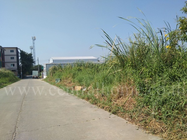 ที่ดินเปล่า 100 ตารางวา หน้าหมู่บ้าน พฤกษา 16 บางใหญ่ ซอยกันตนา