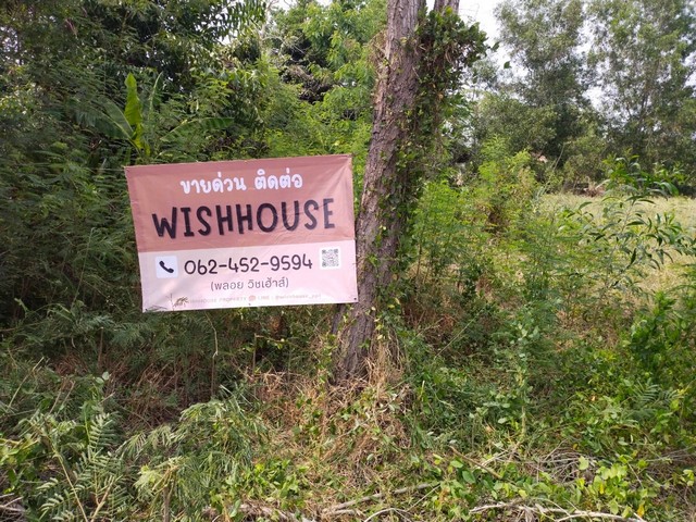 ขายที่ดินเปล่า 100 ตารางวา ติดถนนตลาด ถมแล้วในชุมชนคลอง 22 อำเภอองค์รักษ์ นครนายก