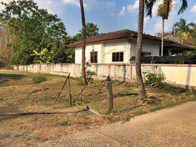 ขาย ที่ดิน ต.นาบัว อ.เมืองสุรินทร์ จ.สุรินทร์  PAP2-0312