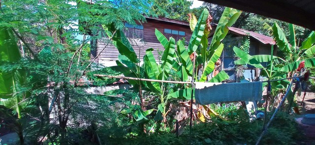 ขาย ที่ดินพร้อมสิ่งปลูกสร้าง ต.หัวงัว อ.ยางตลาด จ.กาฬสินธุ์  PAP2-0468