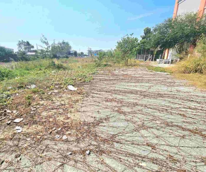 ขายด่วนที่ดินเปล่าถมแล้ว ติดถนนข้าวหลาม อ.เมือง จ.ชลบุรีที่ตั้ง : ตำบล บ้านปึก อำเภอเมืองชลบุรี ชลบุรี 20130พิกัด : https://maps.app.goo.gl/nb8hw64ANDvwq7fd6ขนาดพื้นที่ :193ตรว.รายละเอียดขายด่วนที่ดินเปล่าถมแล้วหน้ากว้างติดถนน 22เมตร ลึกตามแนว ถ.ข้าวหลาม55เมตร ใกล้ตลาดปลาบางแสน เดินทางสะดวก เหมาะสำหรับทำคอนโด,โครงการ,อพาร์ทเม้นท์,โรงแรมคาเฟ่ หรือ ร้านอาหารต่างๆ ใกล้แหล่งชุมชนคนท่องเที่ย