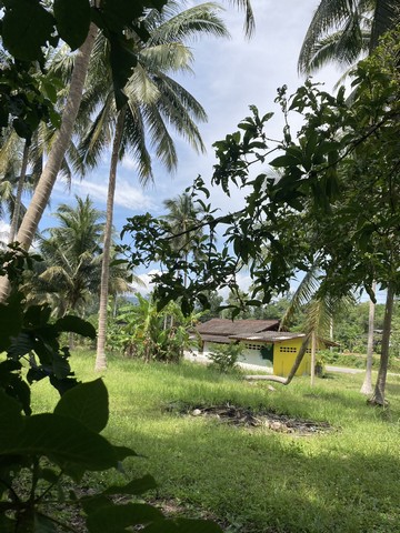 ทีมการขายอสิงห์หาขอนำเสนอขายทรัพย์ผ่อนเจ้าของได้  ขายที่ใกล้ทะเล ต.สะพลี อ.ปะทิว จ.ชุมพร ราคาคุยได้ สนใจโทรตรง 096-882-1857