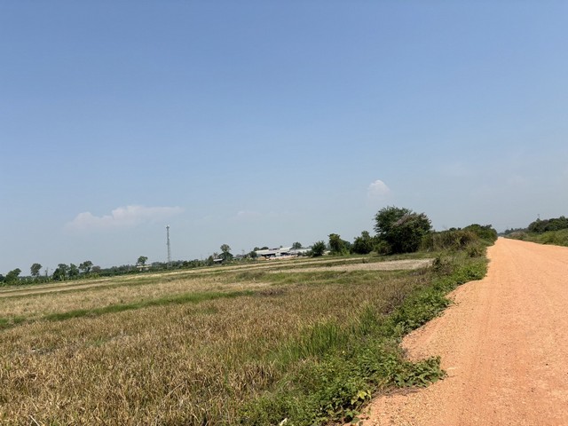 ขายด่วน ที่นา ตำบลบ้านช้าง อำเภอพนัสนิคม จังหวัดชลบุรี ที่นาเนื้อที่ 18 ไร่ 80 ตร.วา