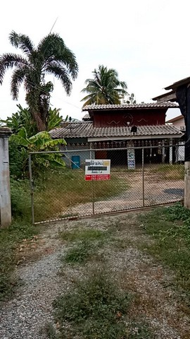 ทีมการขายอสิงห์หาขอนำเสนอขายทรัพย์ผ่อนเจ้าของได้  ขายบ้านเดี่ยว 116 ตาราวา  ราคากันเอง  โทร  0968821857