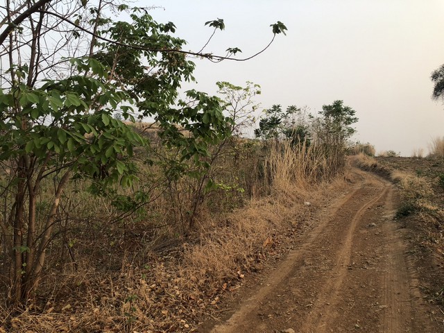 ทีมการขายอสิงห์หาขอนำเสนอขายทรัพย์ผ่อนเจ้าของได้   ขาย ธรรมชาติเนินเขา ที่ดินโฉนดแบ่งขาย สวยๆ ท่ามกลางธรรมชาติหล่มเก่า ดินดีทำเกษตรงาม  ที่ดินดีสมบูรณ์ หล่มเก่า เพชรบูรณ์ ใกล้ภูทับเบิก โทร 0968821857