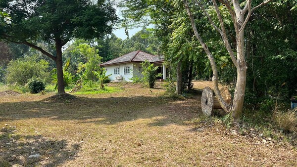  ขายที่ดินพร้อมทุเรียน 300 ต้นและไม้มีค่ามูลค่าอีกเป็นล้าน ปราจีนบุรี เก็บเกี่ยวผลผลิตได้ปีละหลายล้าน!! Passive Income!!