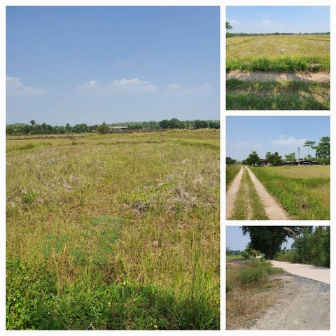  ขายที่ดิน ใกล้มหาวิทยาลัยราชภัฏเชียงใหม่(สะลวง) อำเภอแม่ริม จังหวัดเชียงใหม่ จำนวน 2 ไร่ 1 งาน 61 ตารางวา